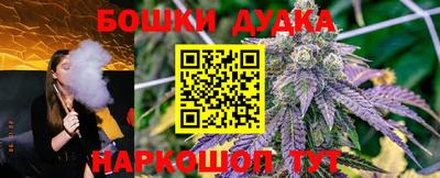 spice Кунгур