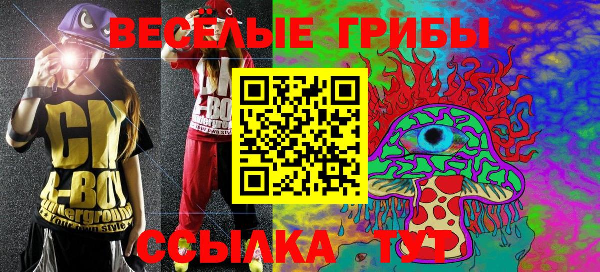 Псилоцибиновые грибы Psilocybe Казань