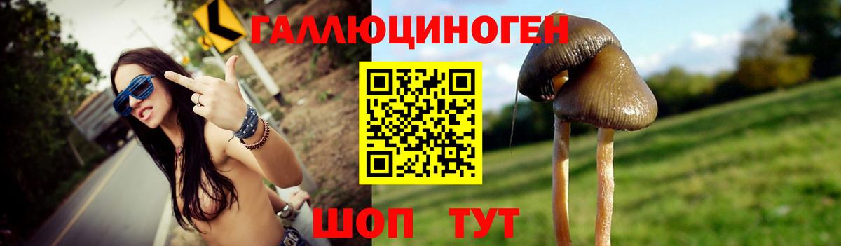 купить   Галлюциногенные грибы GOLDEN TEACHER  Казань  Вход с VPN  Псилоцибиновые грибы MAGIC MUSHROOMS 